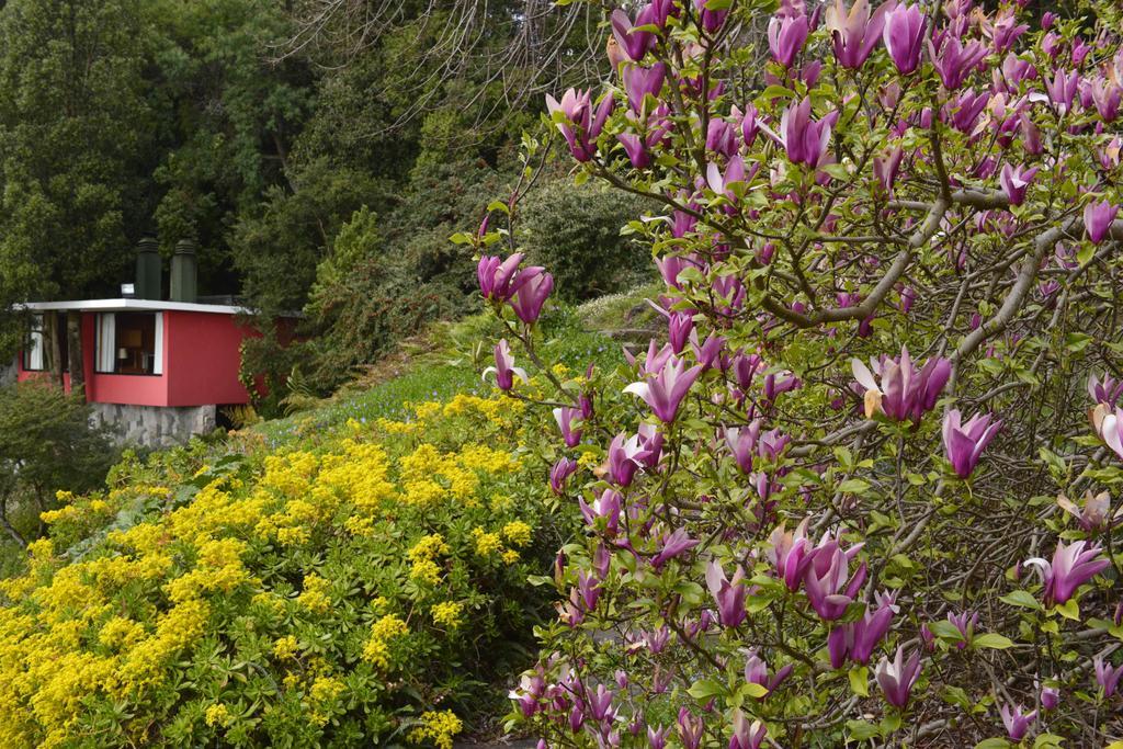 Antumalal Hotel Pucon Exterior photo